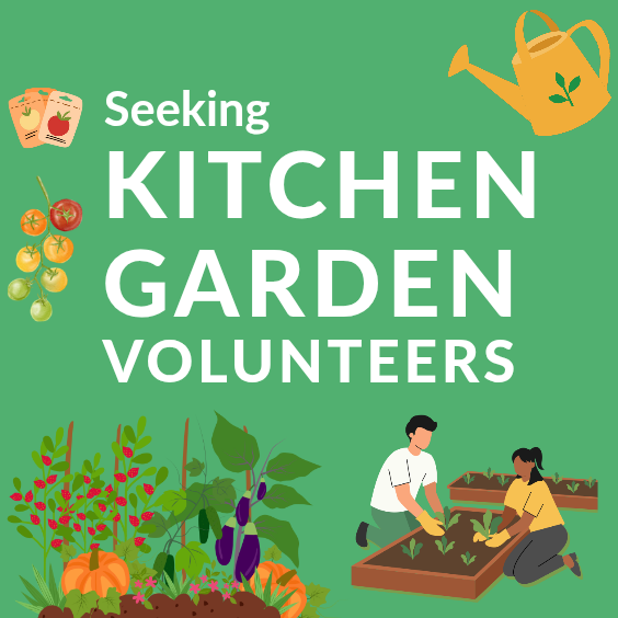 Grow Goodness with us & make a Meaningful Difference💚